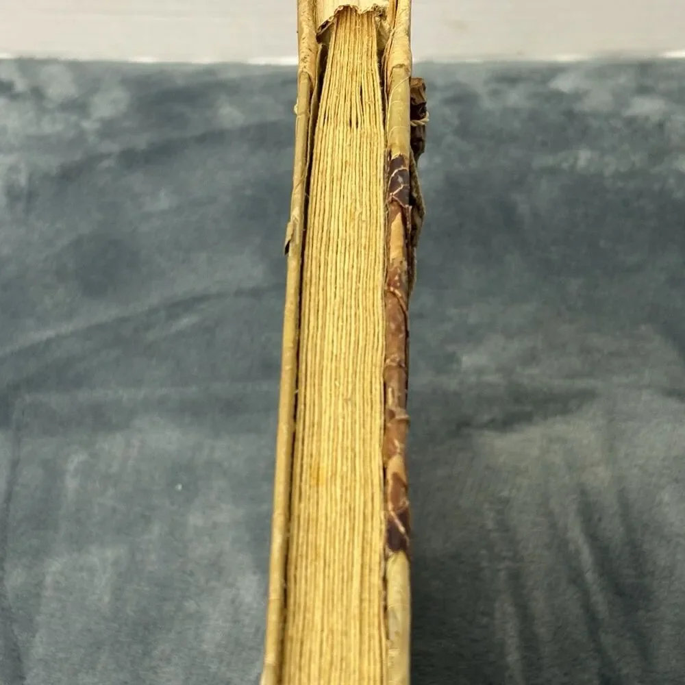 Island TROPICAL Handmade Natural Photo Album Scrapbook Destin Fl 11